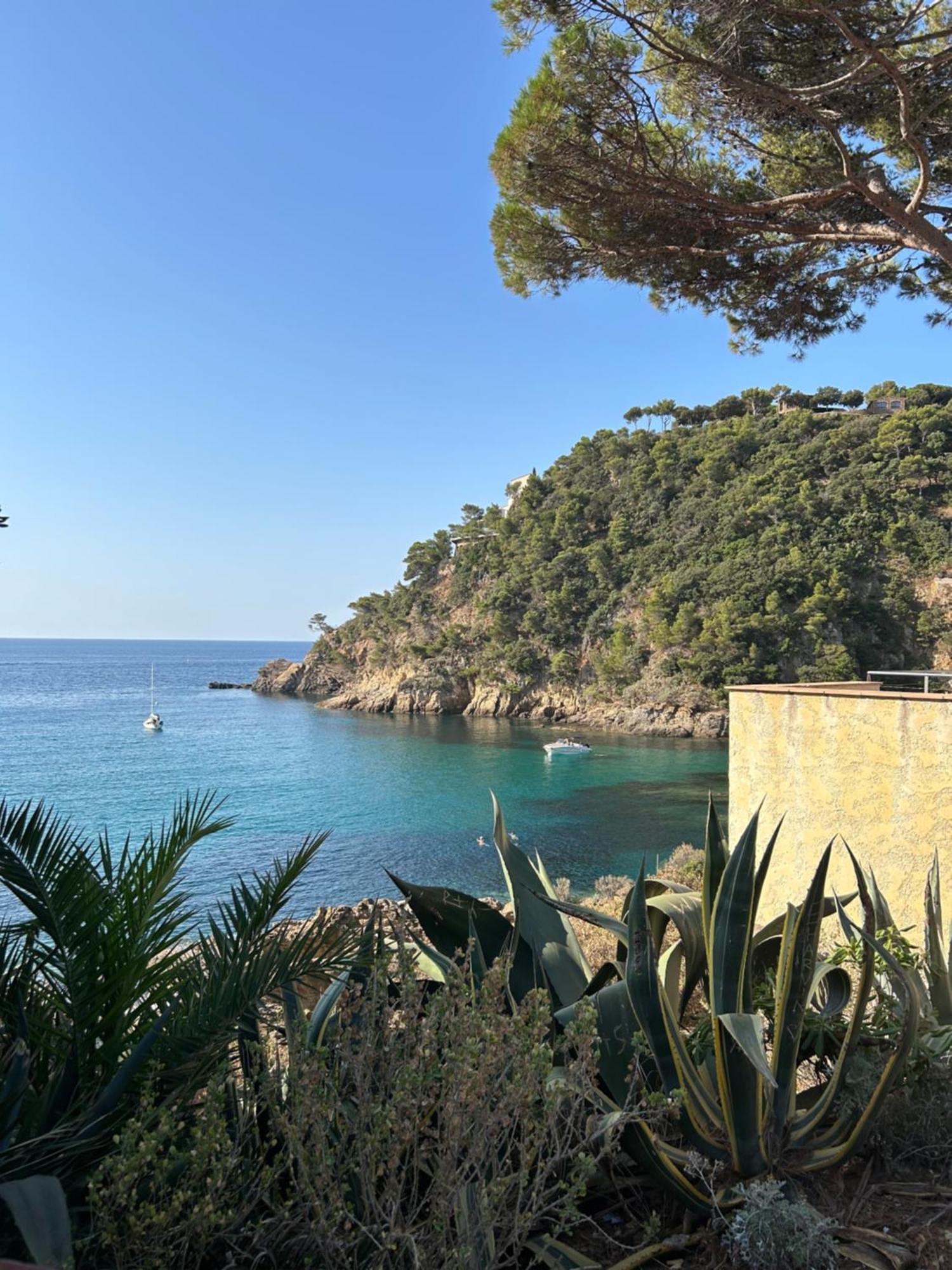 La Calypso Leilighet Cavalaire-sur-Mer Eksteriør bilde